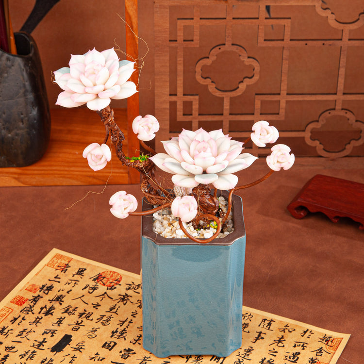 Artificial Succulent Bonsai Arrangement B015