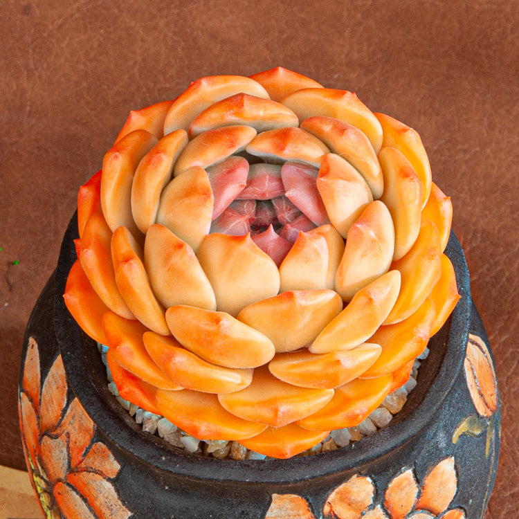 Handmade Clay Succulent Plant with Hand-painted Ceramic Pot SH005