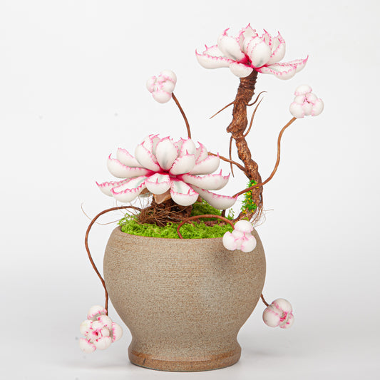 Artificial Succulent Bonsai Arrangement B019