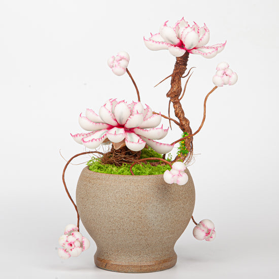 Artificial Succulent Bonsai Arrangement B019