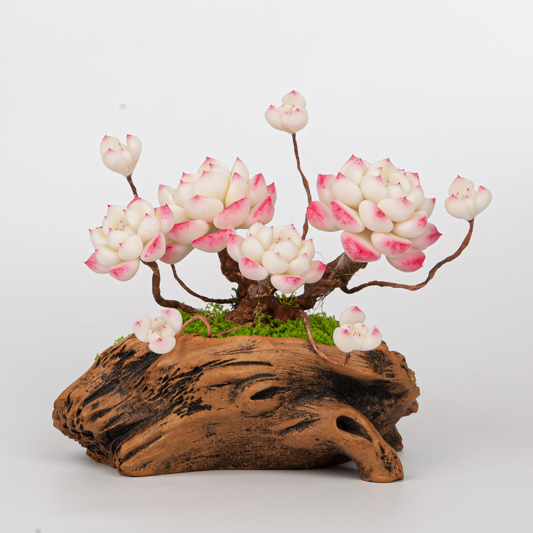 Artificial Succulent Bonsai Arrangement B017 – detail view 5