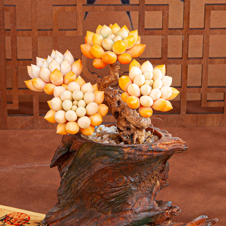 Artificial Succulent Bonsai Arrangement B014