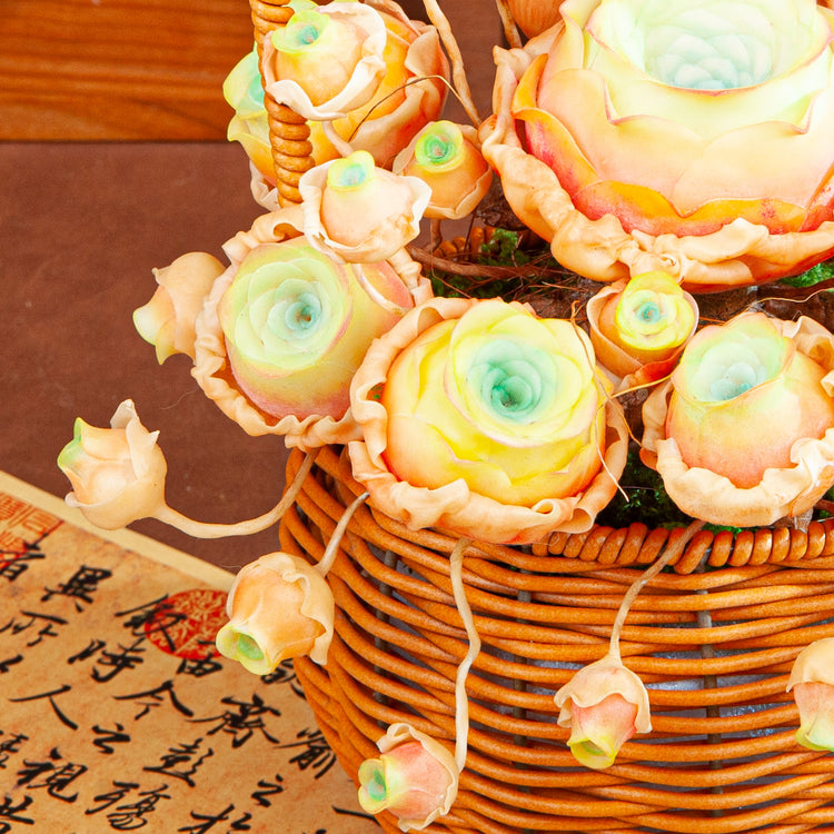 Handmade Clay Succulent Flower Basket HL003