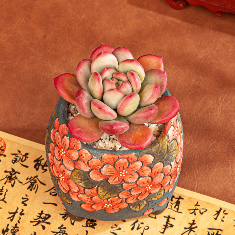 Handmade Clay Succulent Plant with Traditional Chinese Floral Handpainting Ceramic Pot SH002