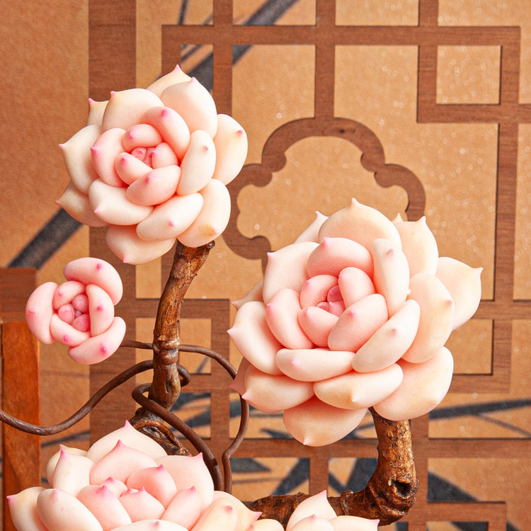 Artificial Succulent Plant Arrangement G005