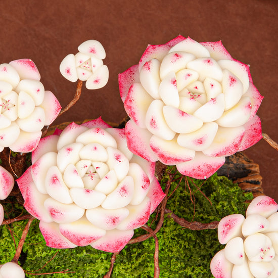 Artificial Succulent Bonsai Arrangement B018 – detail view 5