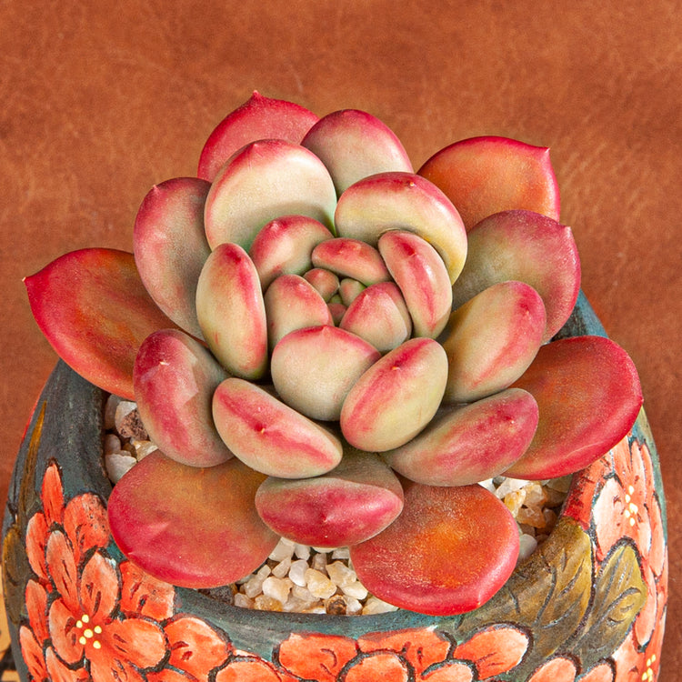 Handmade Clay Succulent Plant with Traditional Chinese Floral Handpainting Ceramic Pot SH002