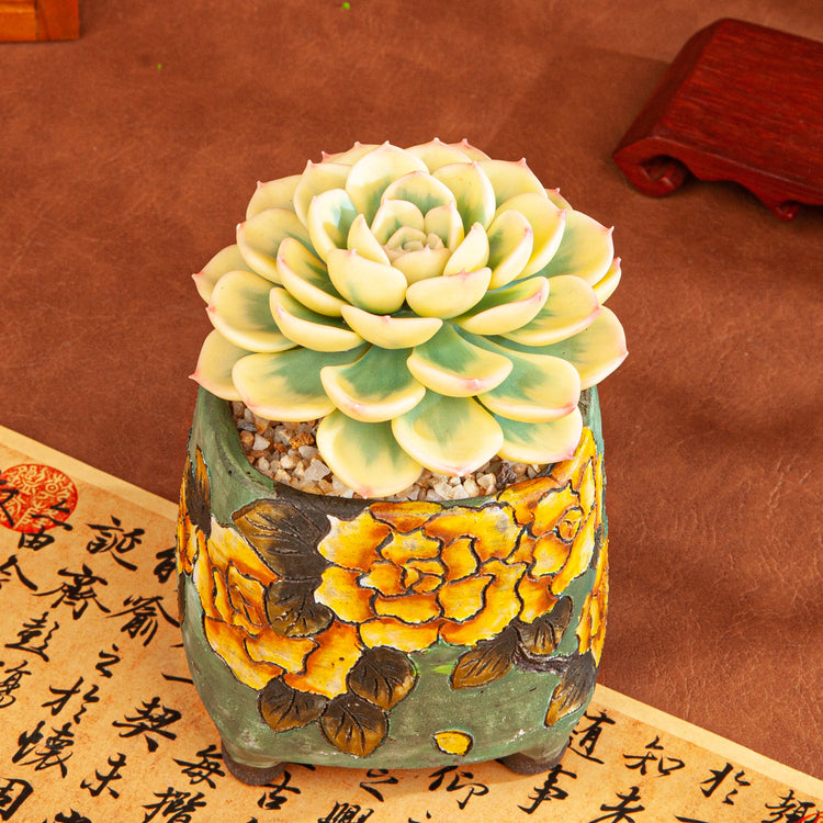 Handmade Clay Succulent Plant with Hand-painted Ceramic Pot SH003
