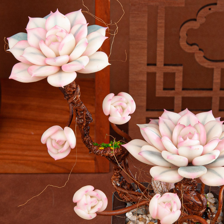 Artificial Succulent Bonsai Arrangement B015