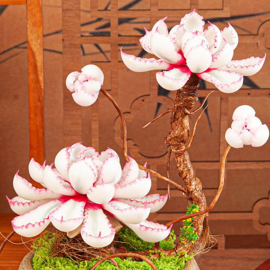 Artificial Succulent Bonsai Arrangement B019 – detail view 3