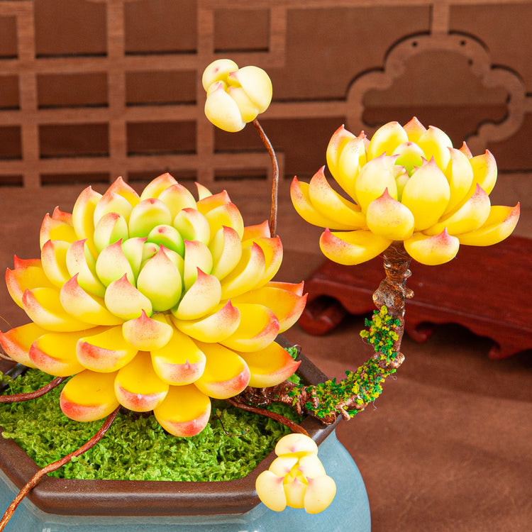 Artificial Succulent Bonsai Arrangement B013