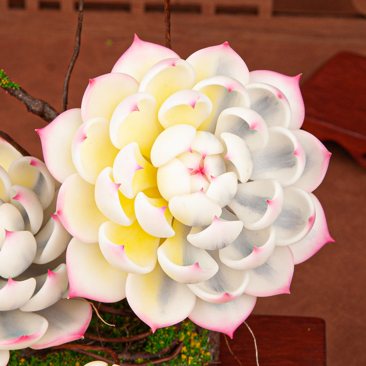 Handmade Clay Succulent Plant Sculpture W006