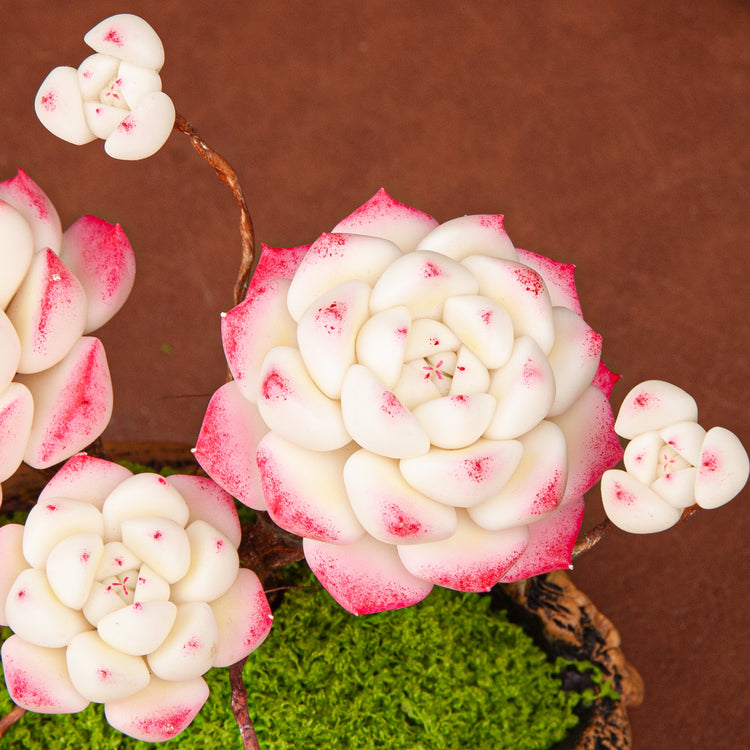 Artificial Succulent Bonsai Arrangement B017 – detail view 4
