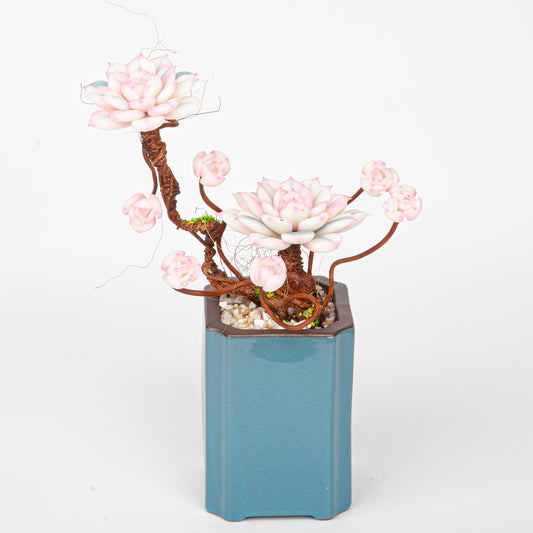 Artificial Succulent Bonsai Arrangement B015