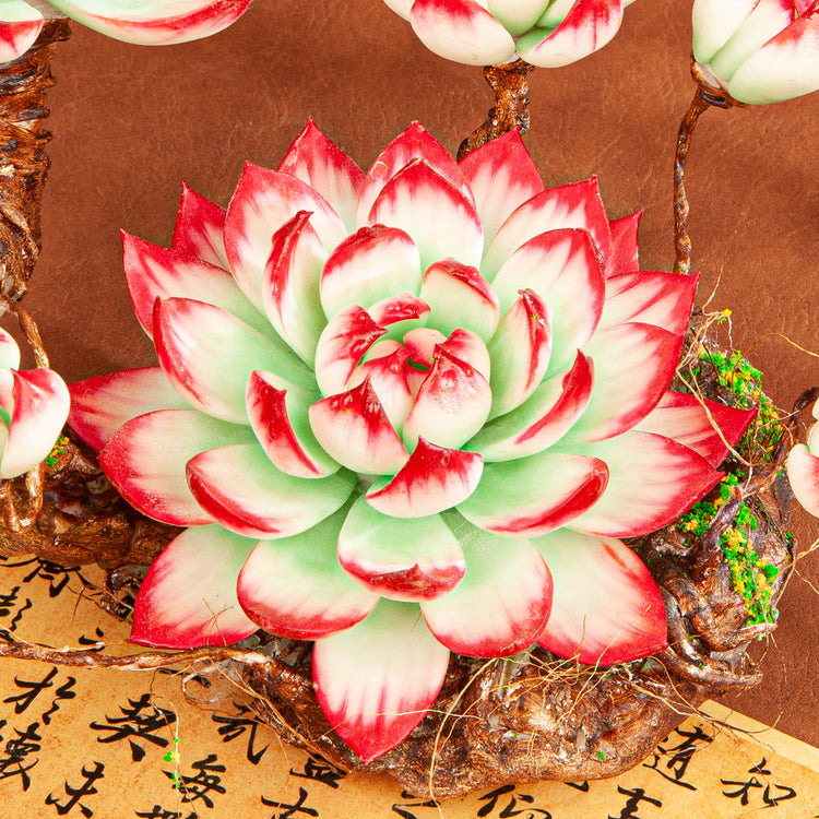 Handmade Clay Succulent Plant W005 – detail view 3