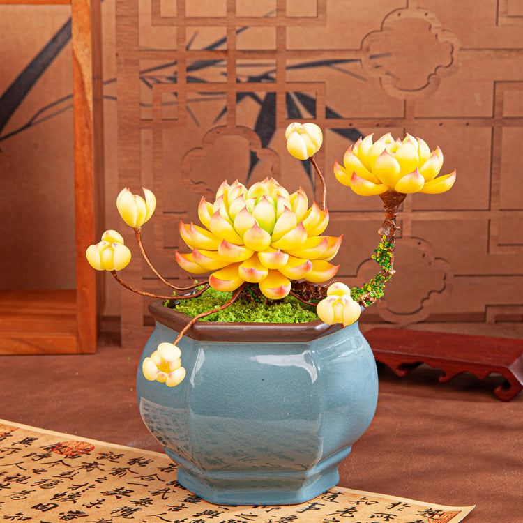 Artificial Succulent Bonsai Arrangement B013