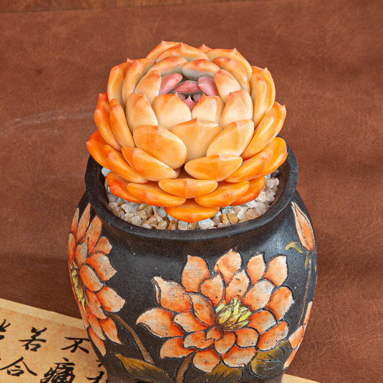 Handmade Clay Succulent Plant with Hand-painted Ceramic Pot SH005