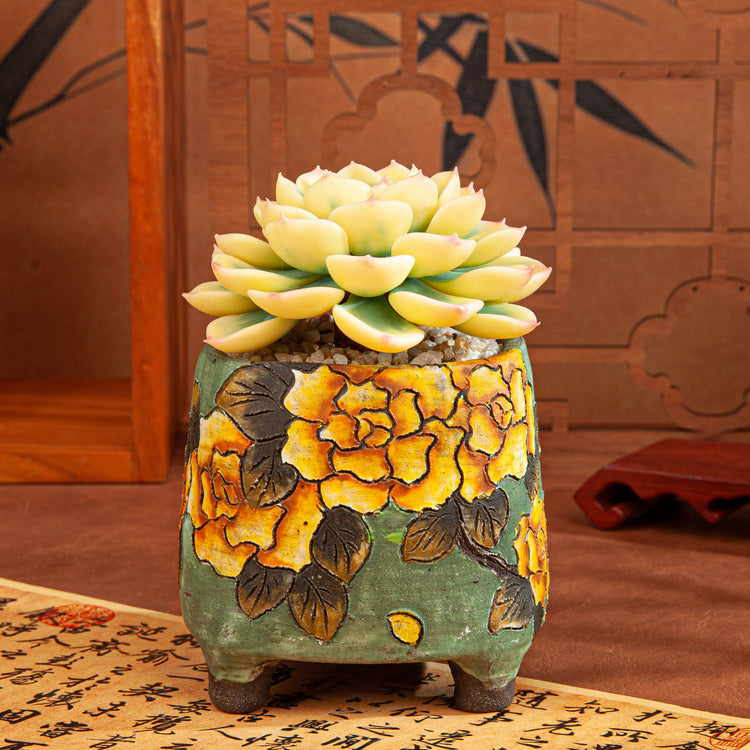 Handmade Clay Succulent Plant with Hand-painted Ceramic Pot SH003