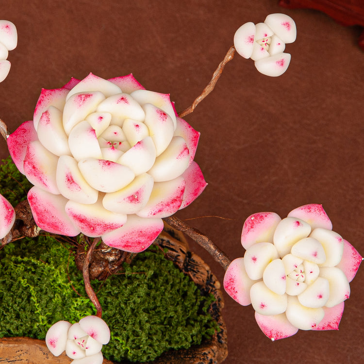 Artificial Succulent Bonsai Arrangement B016