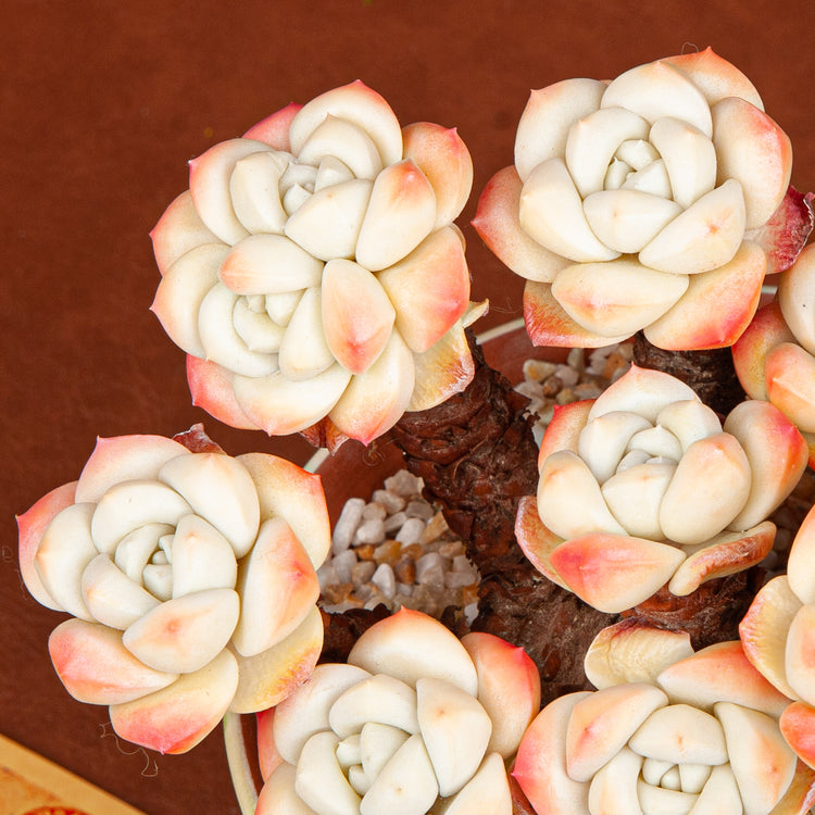 Handmade Clay Succulent Plant with Hand-painted Ceramic Pot SH004