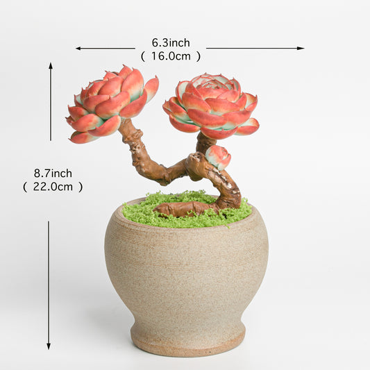 Galagaga Handmade Artificial Succulent  C004