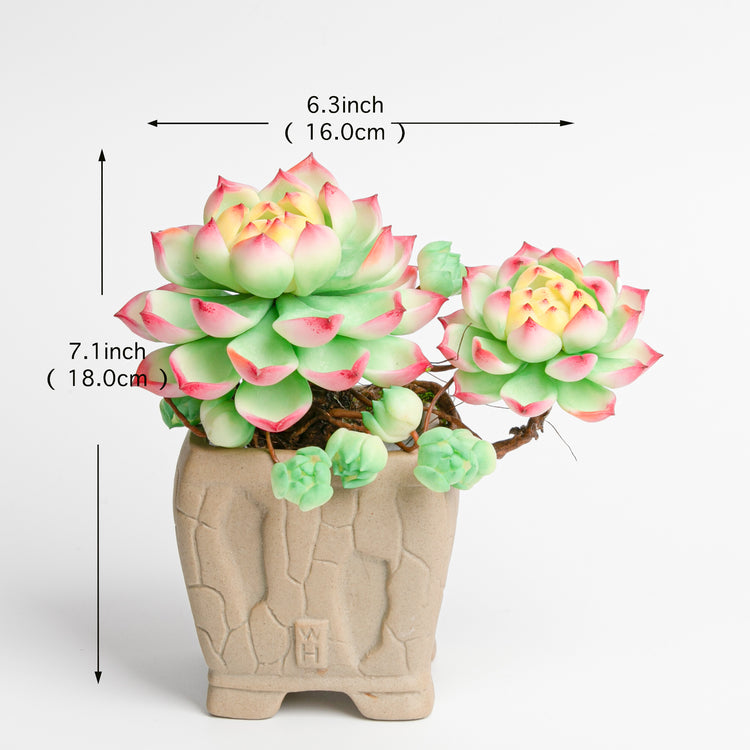 Galagaga Handmade Artificial Succulent  B007