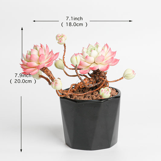Galagaga Handmade Artificial Succulent  C002