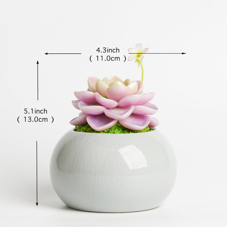 Galagaga Handmade Artificial Succulent  D004