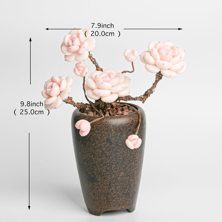 Galagaga Handmade Artificial Succulent  C007