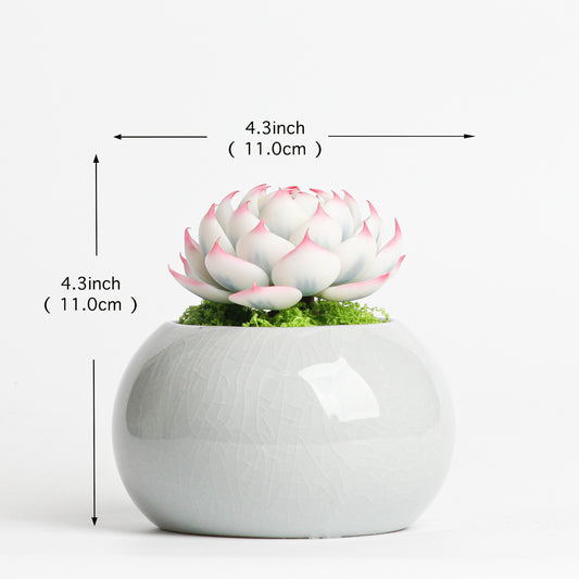 Galagaga Handmade Artificial Succulent  D002