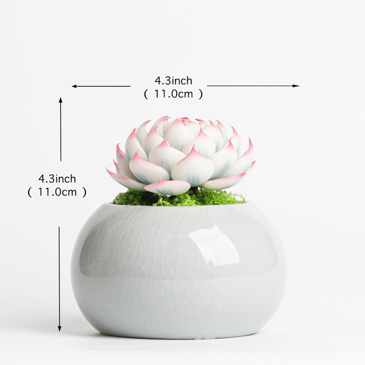 Galagaga Handmade Artificial Succulent  D002