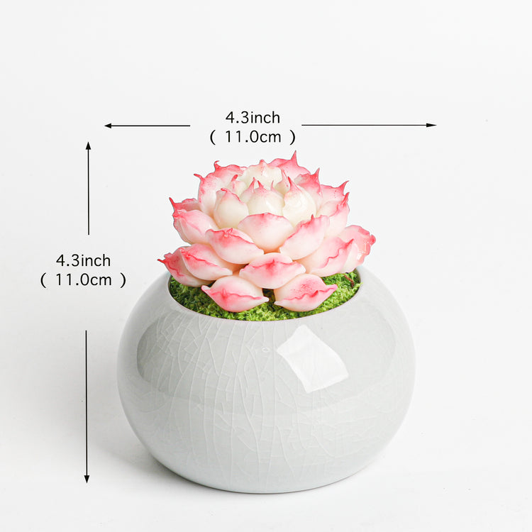 Galagaga Handmade Artificial Succulent  D003