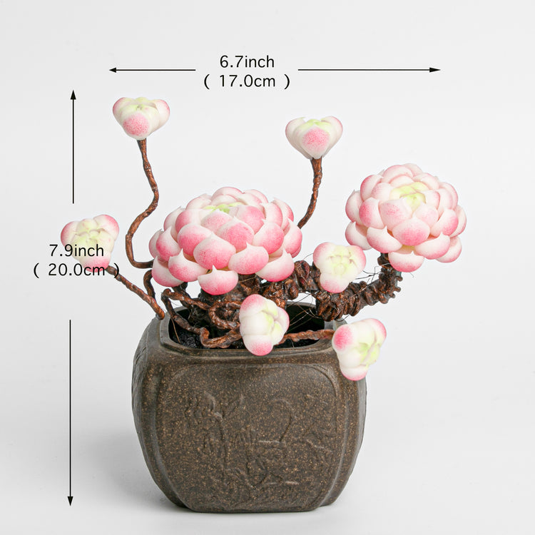 Galagaga Handmade Artificial Succulent  C009