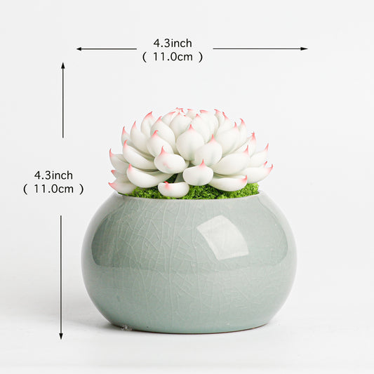 Galagaga Handmade Artificial Succulent  D001