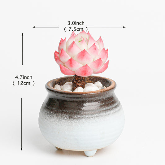 Galagaga Handmade Artificial Succulent Plant stone lotus - Detail view of handmade  - clay succulent