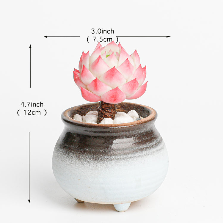 Galagaga Handmade Artificial Succulent Plant stone lotus - clay succulent plant - Handmade with love - special gift for special occasions