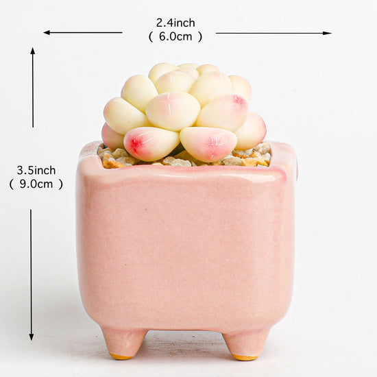 Handmade clay Succulent A015 - clay succulent plant - Handmade with love - special gift for special occasions