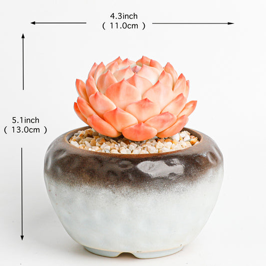 Handmade clay Succulent D010 - Detail view of handmade  - clay succulent