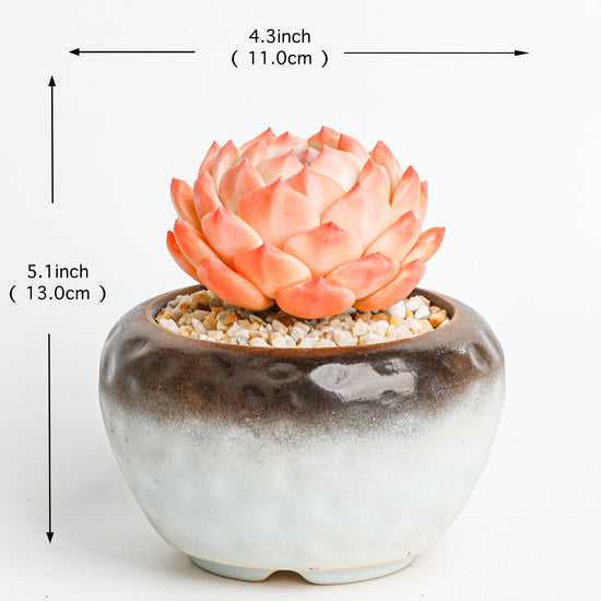 Handmade clay Succulent D010 - Detail view of handmade  - clay succulent