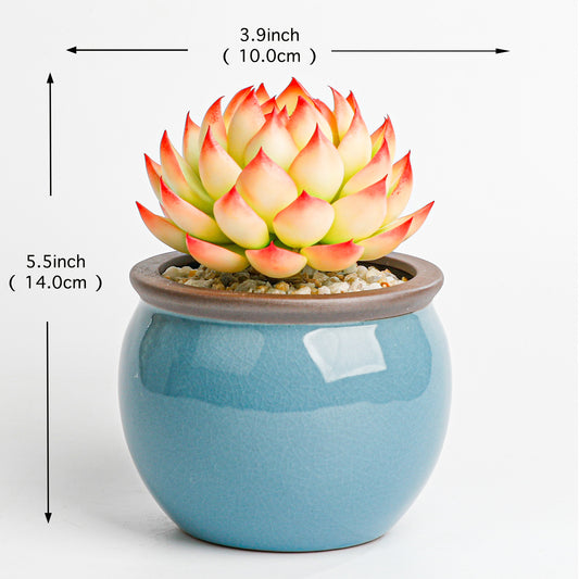 Handmade clay Succulent D007 - Detail view of handmade  - clay succulent